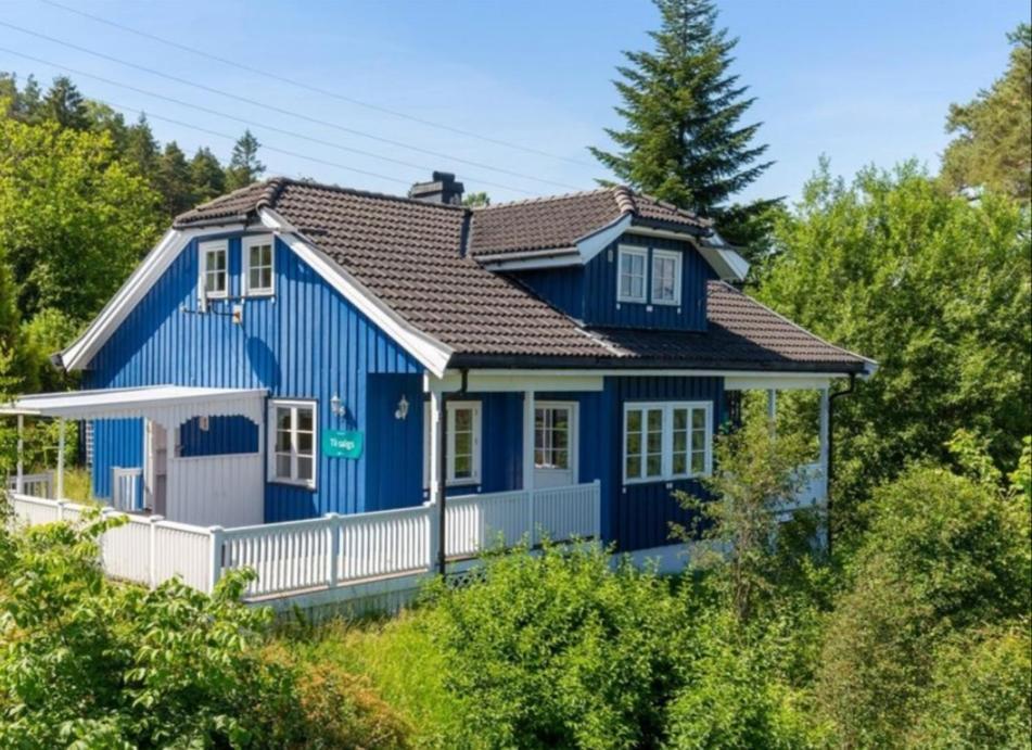 Blue House Brevik Porsgrunn Hotel Екстериор снимка